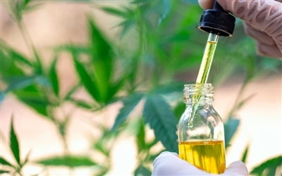9 Manfaat Minyak CBD Bagi Kesehatan — Dan Efek Sampingnya