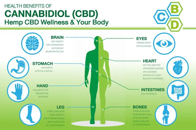 5 Manfaat Utama Minyak CBD bagi Kesehatan — dan Sekilas tentang Efek Sampingnya