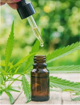 Yang Perlu Diketahui Sebelum Anda Mencoba CBD